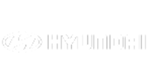 Hyundai Logo [DRPG Live] Updated