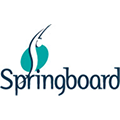springboard springboard